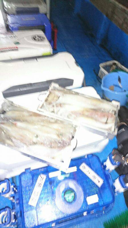 海龍丸（石川） 釣果