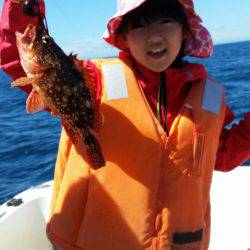 ブルドック 釣果