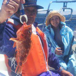 ブルドック 釣果