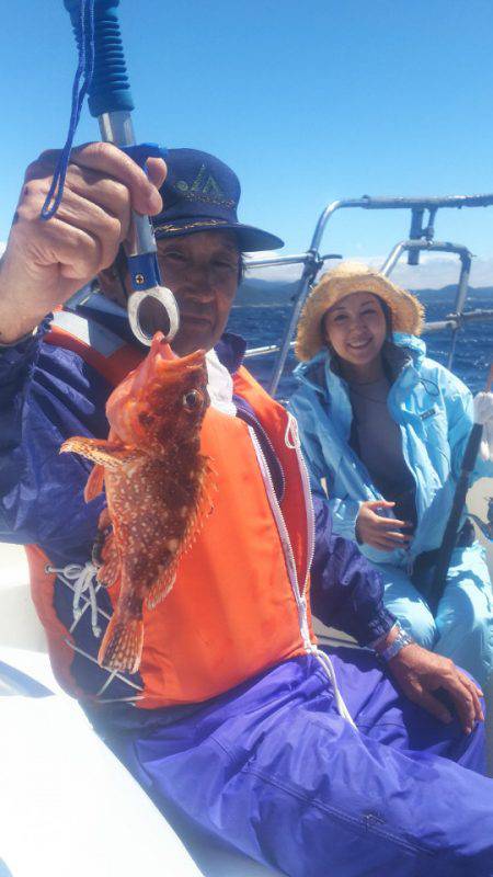 ブルドック 釣果