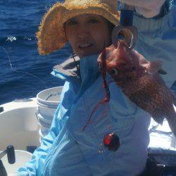 ブルドック 釣果