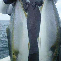 サンマリン 釣果