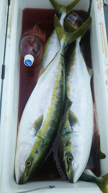 サンマリン 釣果