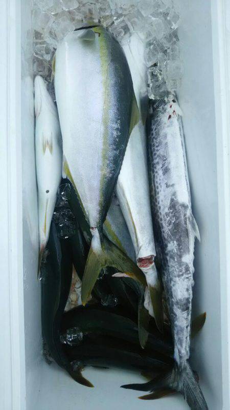 サンマリン 釣果