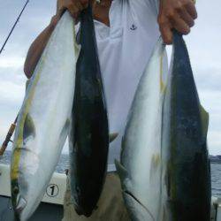 サンマリン 釣果