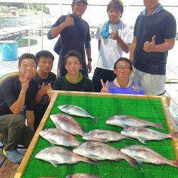 海の釣堀 海恵 釣果