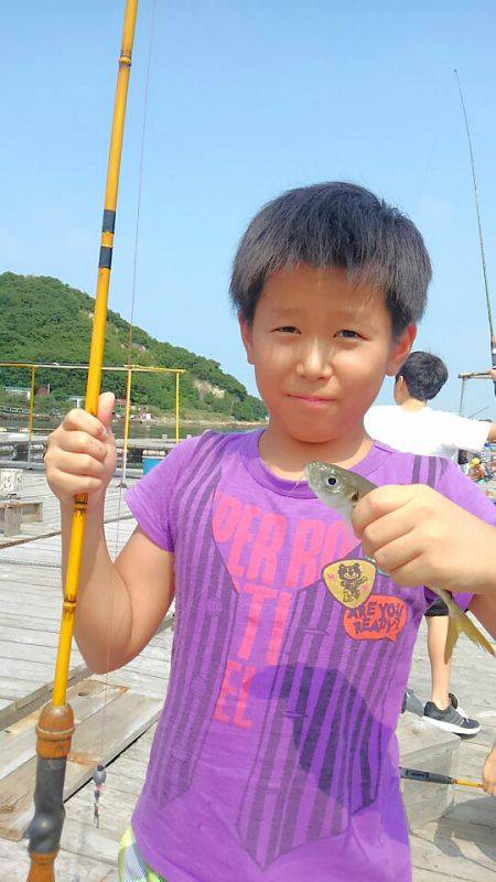 海の釣堀 海恵 釣果