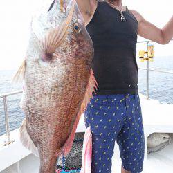 ARCADIAⅡ (アルカディアⅡ) 釣果