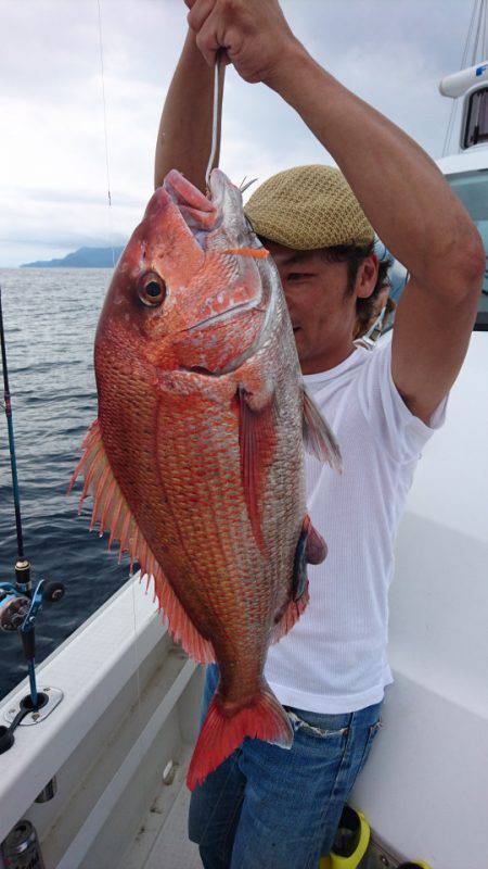 ARCADIAⅡ (アルカディアⅡ) 釣果