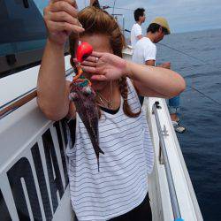 ARCADIAⅡ (アルカディアⅡ) 釣果