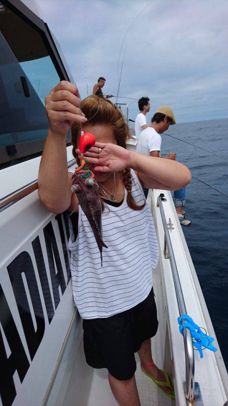 ARCADIAⅡ (アルカディアⅡ) 釣果