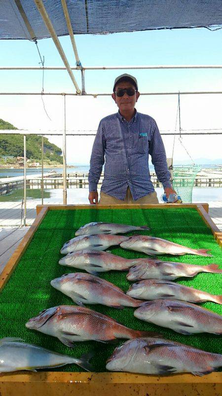 海の釣堀 海恵 釣果