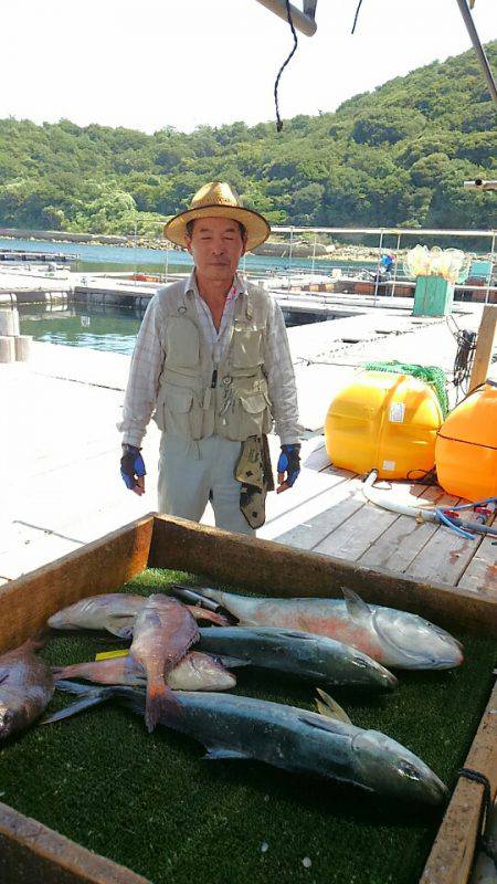海の釣堀 海恵 釣果
