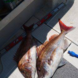 ARCADIAⅡ （アルカディアⅡ） 釣果