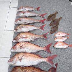 ARCADIAⅡ （アルカディアⅡ） 釣果