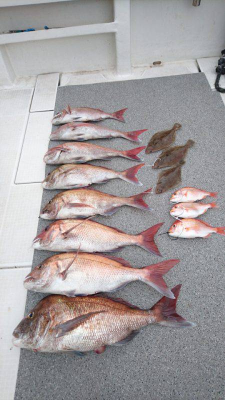 ARCADIAⅡ （アルカディアⅡ） 釣果