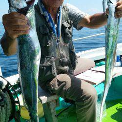 小島丸 釣果