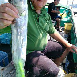 小島丸 釣果