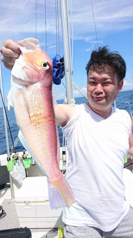 ARCADIAⅡ (アルカディアⅡ) 釣果