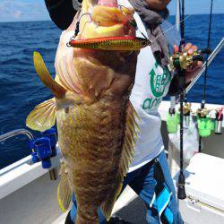 ARCADIAⅡ (アルカディアⅡ) 釣果