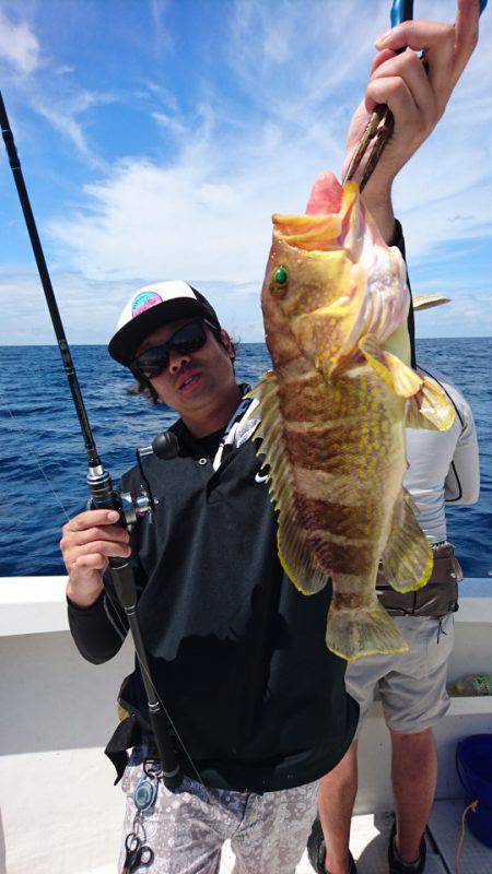 ARCADIAⅡ (アルカディアⅡ) 釣果