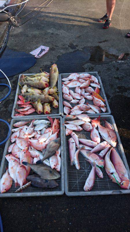 ARCADIAⅡ (アルカディアⅡ) 釣果