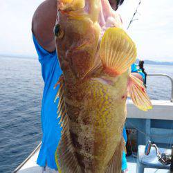 あみや渡船 JIGBOY 釣果