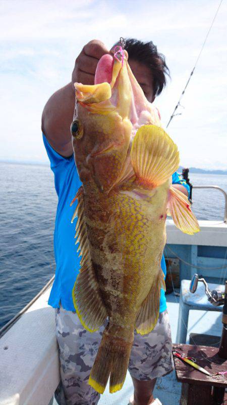 あみや渡船 JIGBOY 釣果