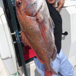 ARCADIAⅡ （アルカディアⅡ） 釣果