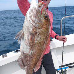 ARCADIAⅡ （アルカディアⅡ） 釣果