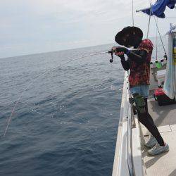 ARCADIAⅡ （アルカディアⅡ） 釣果