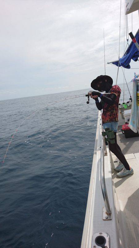 ARCADIAⅡ （アルカディアⅡ） 釣果