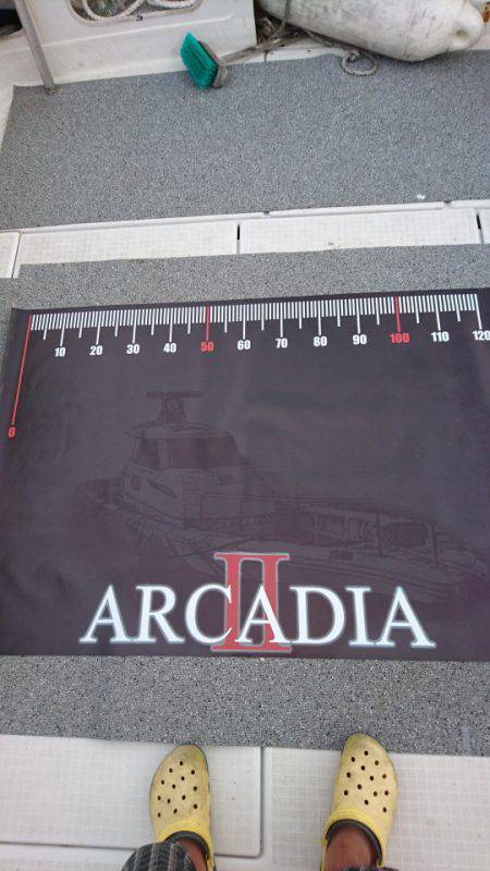 ARCADIAⅡ （アルカディアⅡ） 釣果