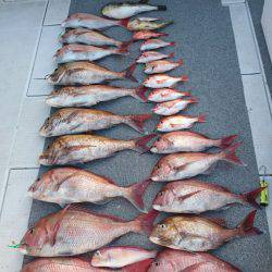 ARCADIAⅡ （アルカディアⅡ） 釣果