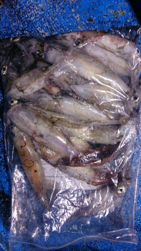 海龍丸（石川） 釣果