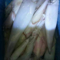 海龍丸（石川） 釣果