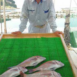 海の釣堀 海恵 釣果