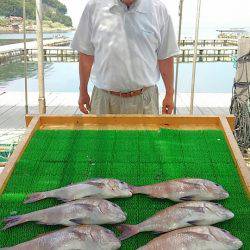 海の釣堀 海恵 釣果