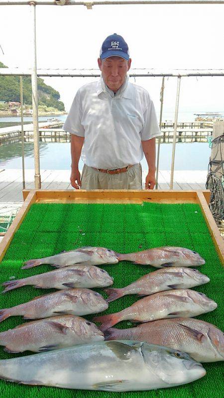 海の釣堀 海恵 釣果