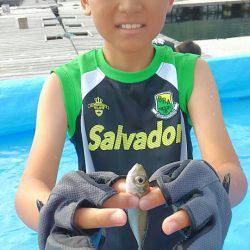 海の釣堀 海恵 釣果