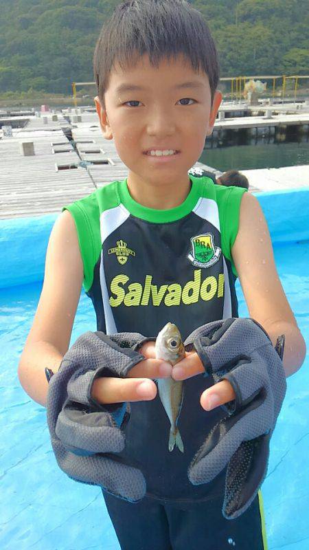 海の釣堀 海恵 釣果