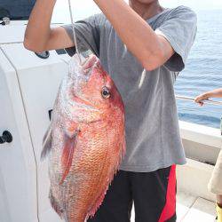 ARCADIAⅡ （アルカディアⅡ） 釣果