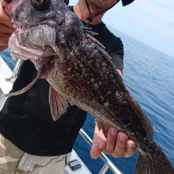 ARCADIAⅡ （アルカディアⅡ） 釣果