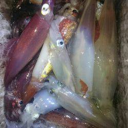 海龍丸（石川） 釣果