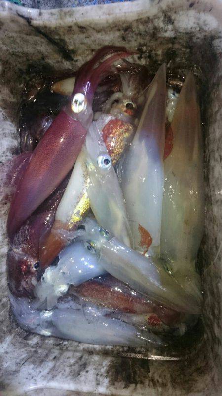 海龍丸（石川） 釣果