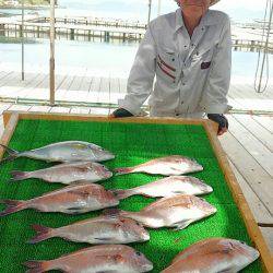 海の釣堀 海恵 釣果