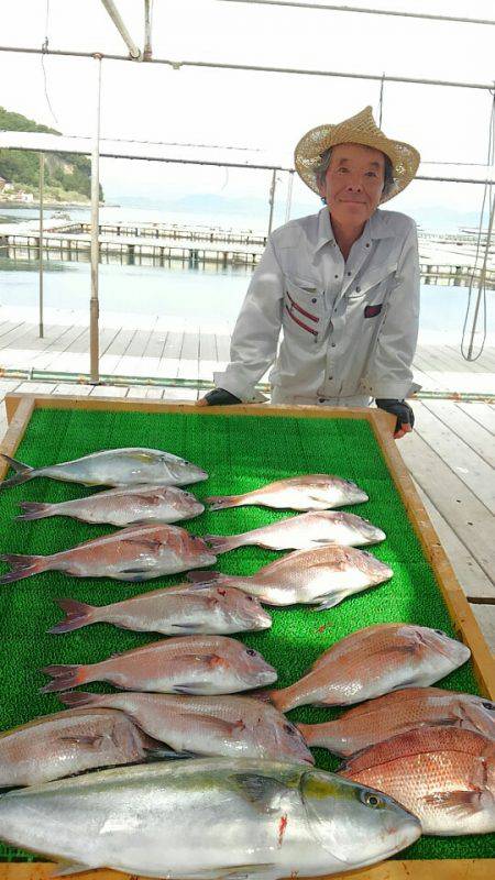 海の釣堀 海恵 釣果
