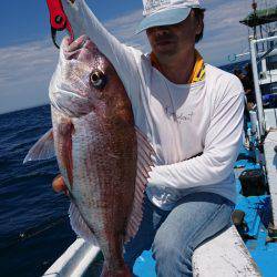 だて丸 釣果