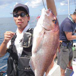 ARCADIAⅡ (アルカディアⅡ) 釣果