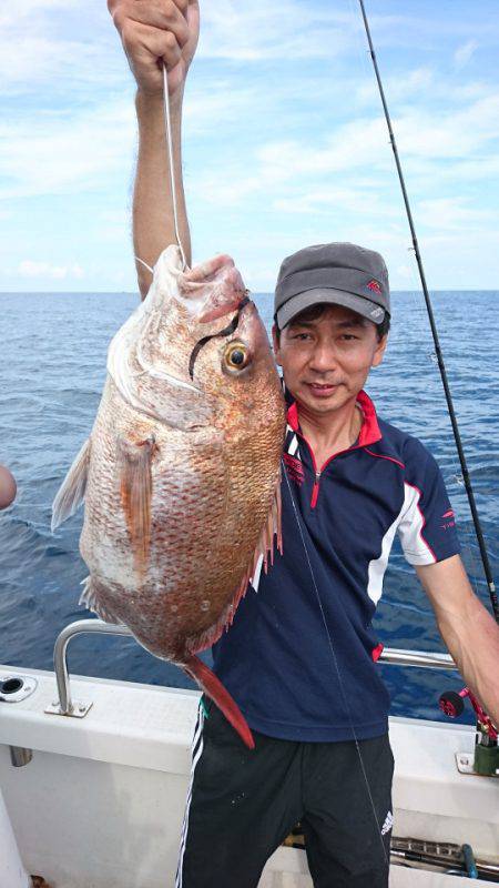 ARCADIAⅡ (アルカディアⅡ) 釣果